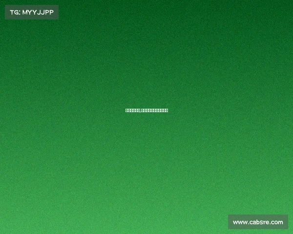 国外赛车赛事,国外的赛车游戏全国排名