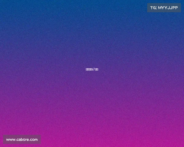 白鲨石头s7首秀